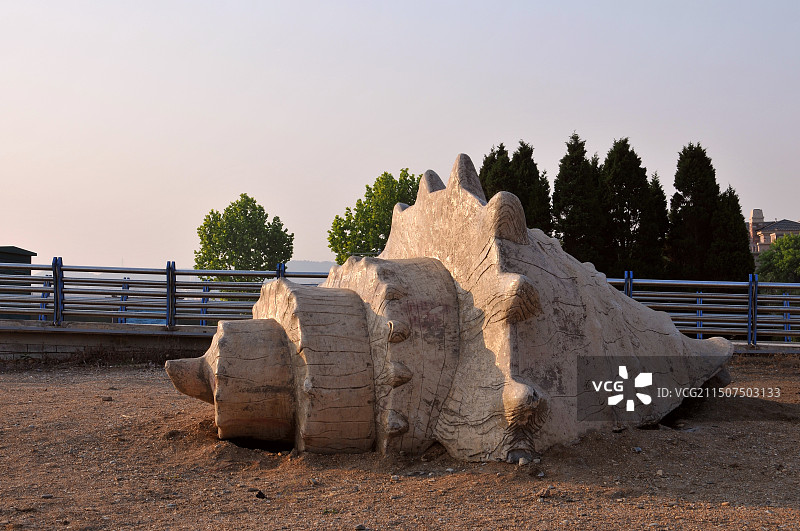 天下第一寄生蟹图片素材