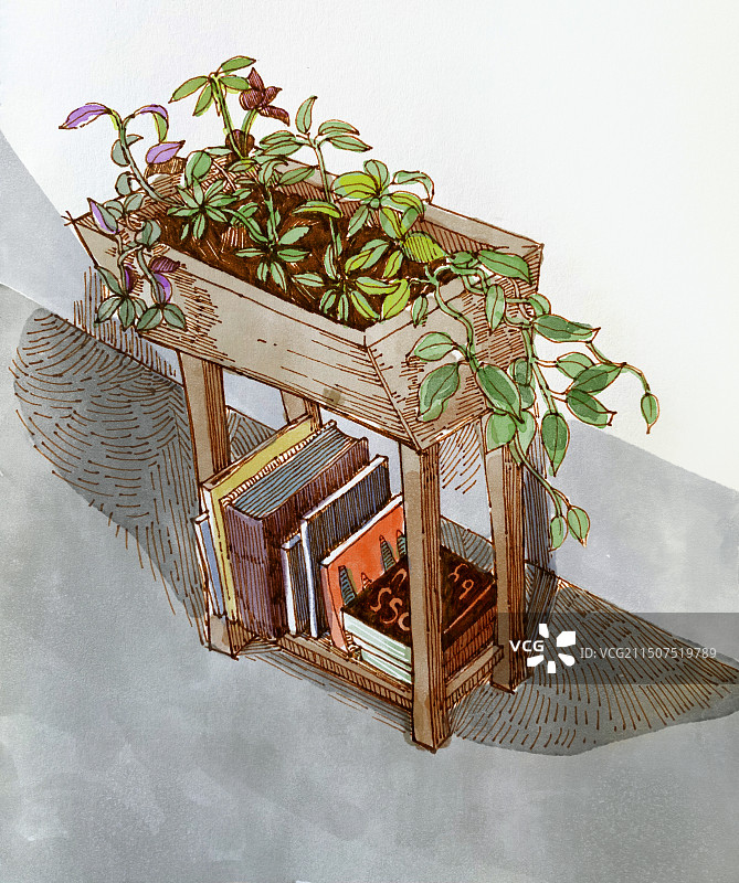 春天植物发芽室内小书架水彩插画图片素材