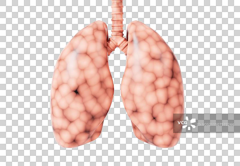 肺癌与感染病毒的肺脏3D元素插画图片素材