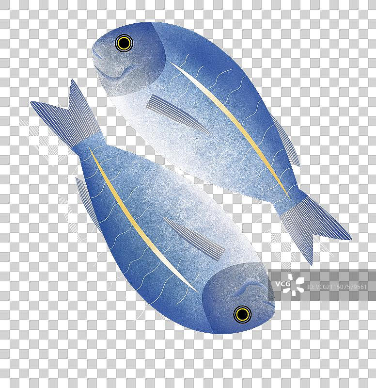 扁平风海鱼图片素材