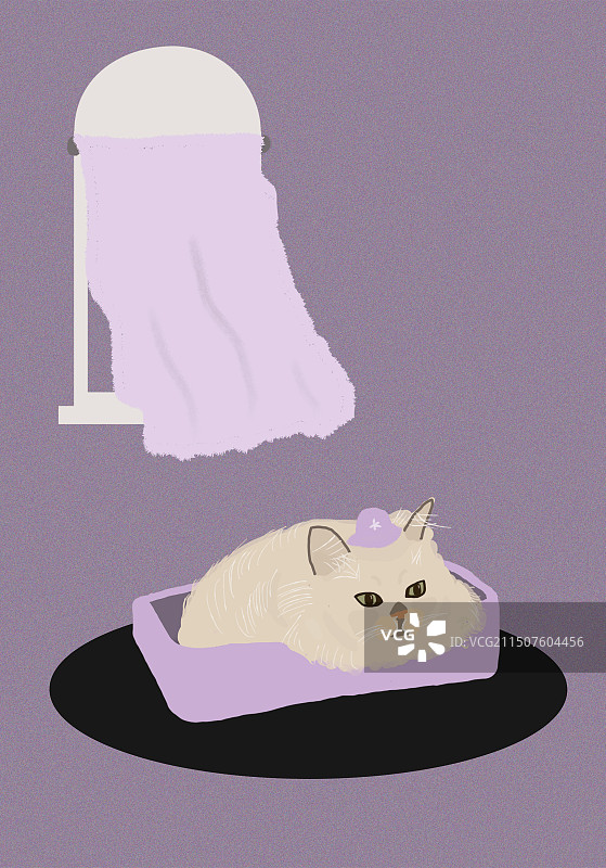 金吉拉可爱卧室盒子里躲猫猫手绘图片素材