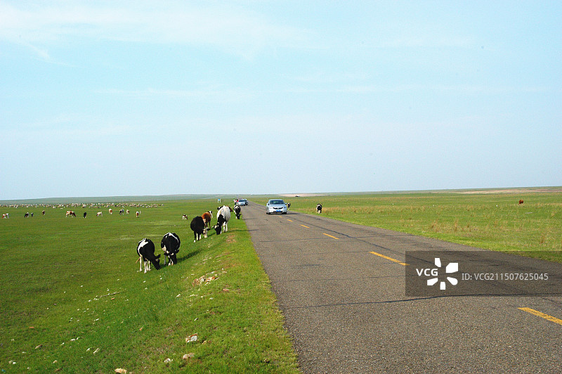 锡林郭勒草原路图片素材