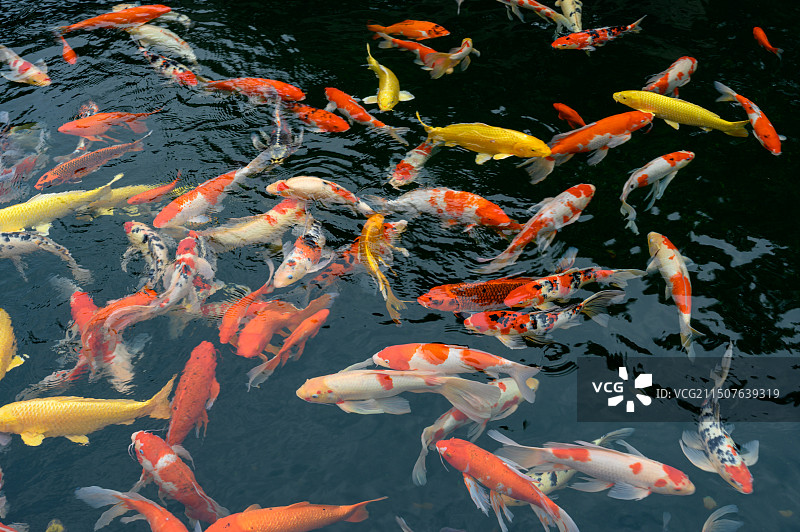 无锡灵山图片素材