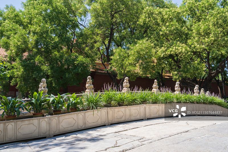 北京夏天故宫武英殿断虹桥石狮子图片素材