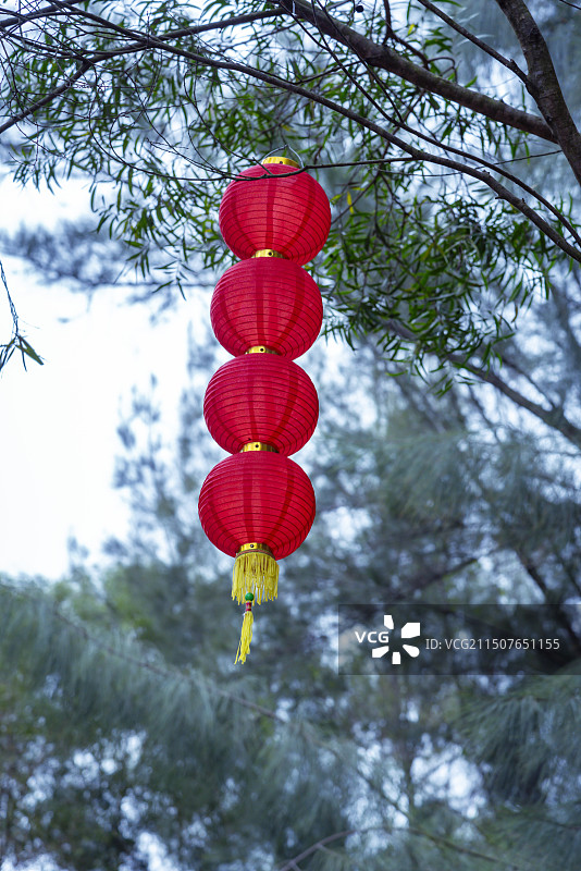 挂在树上的红色小灯笼图片素材