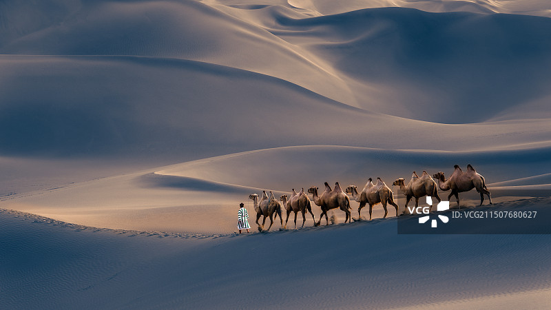 沙漠之舟图片素材