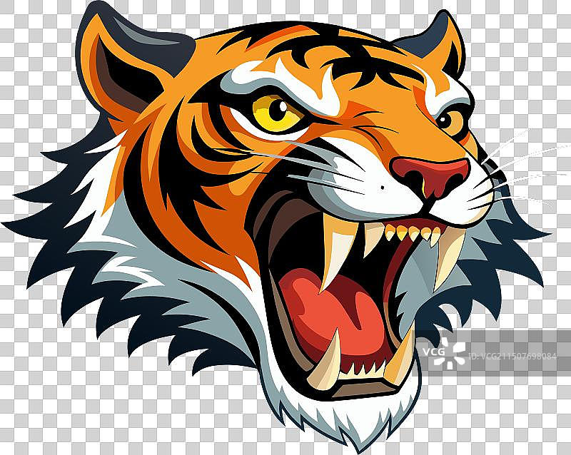 咆哮老虎的特写图片素材