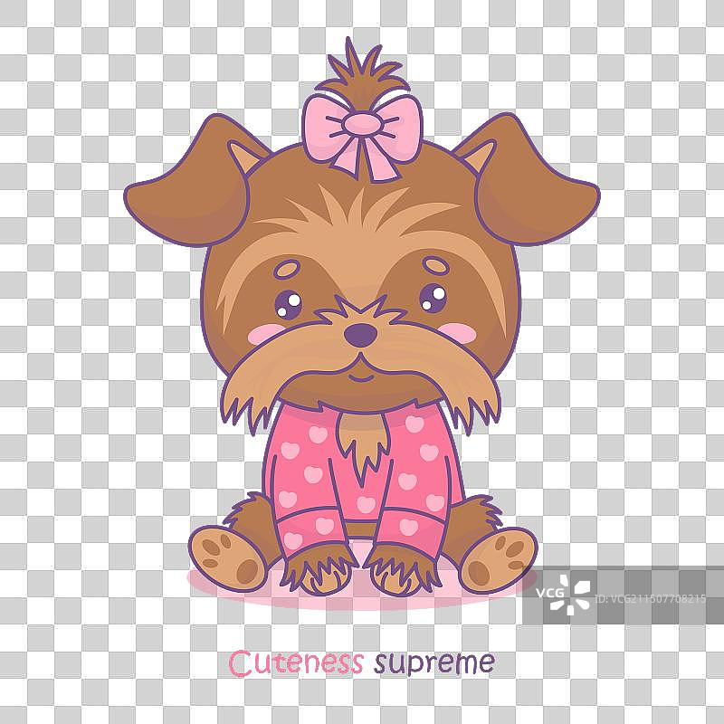 穿着粉色衣服、戴着蝴蝶结的约克夏梗犬图片素材