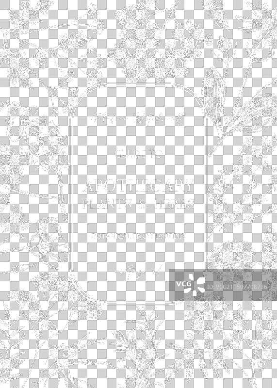 药剂植物框架设计图片素材