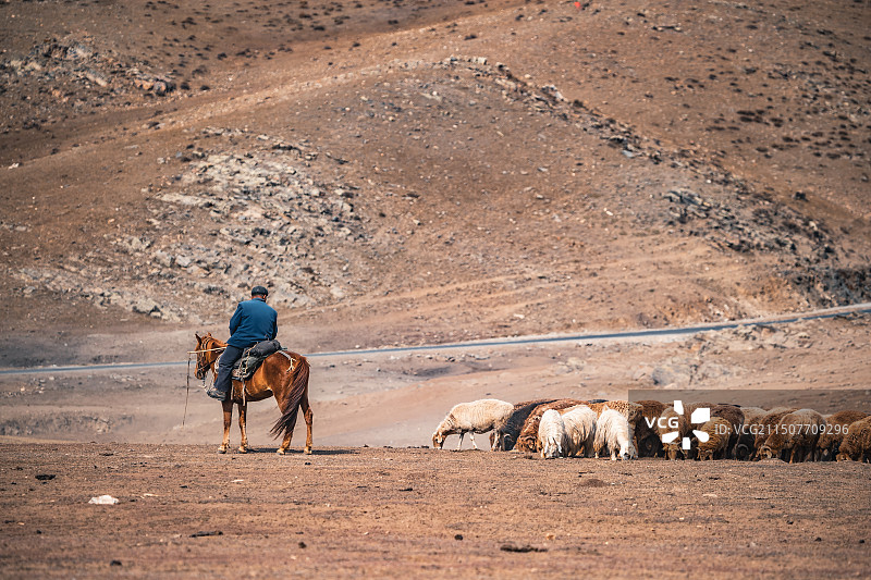 牧羊人图片素材