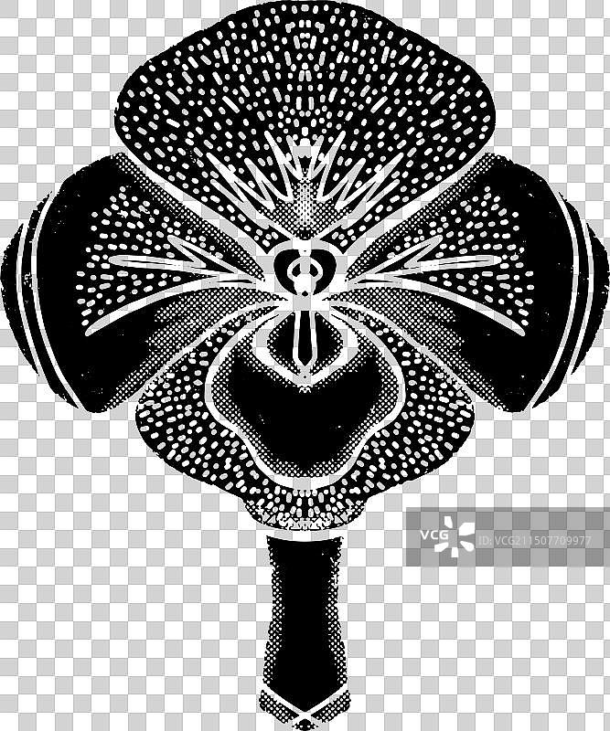 油毡版画风格的兰花样式图片素材