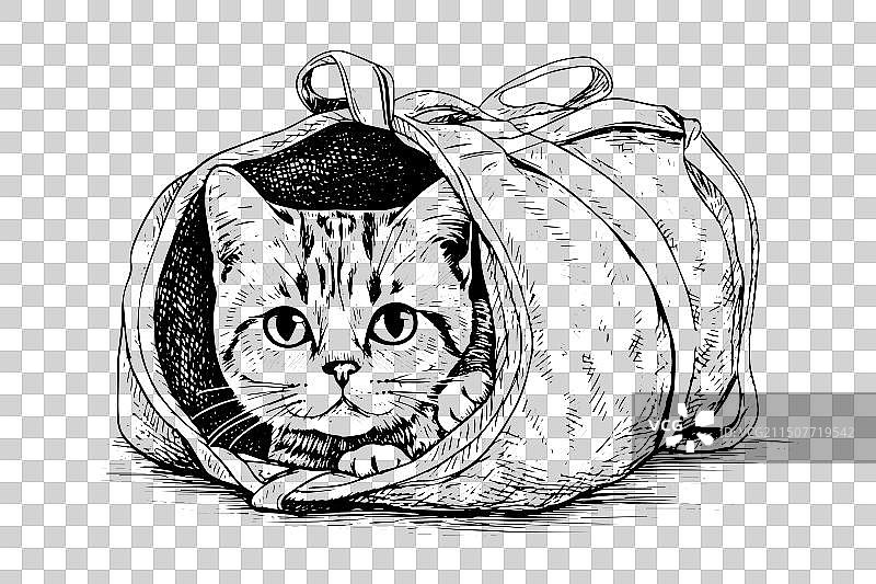 手绘墨水素描猫咪图片素材
