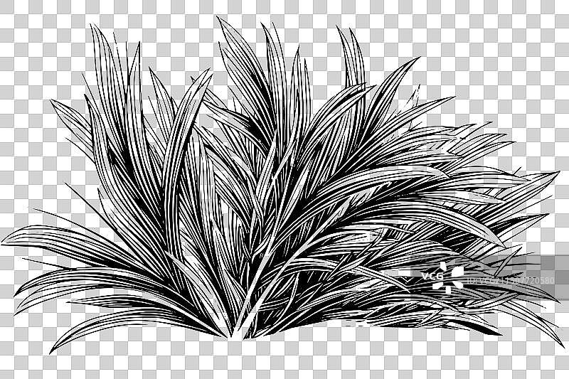 复古手绘草图雕刻图片素材