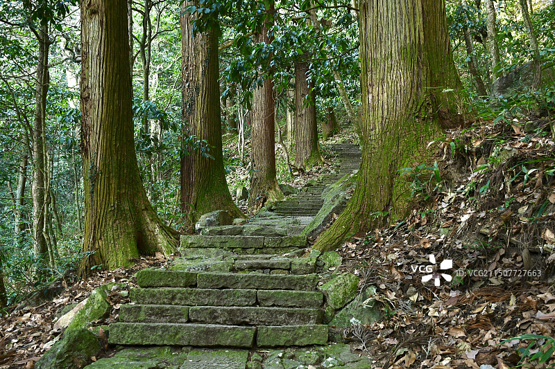 杭州临安东天目山图片素材
