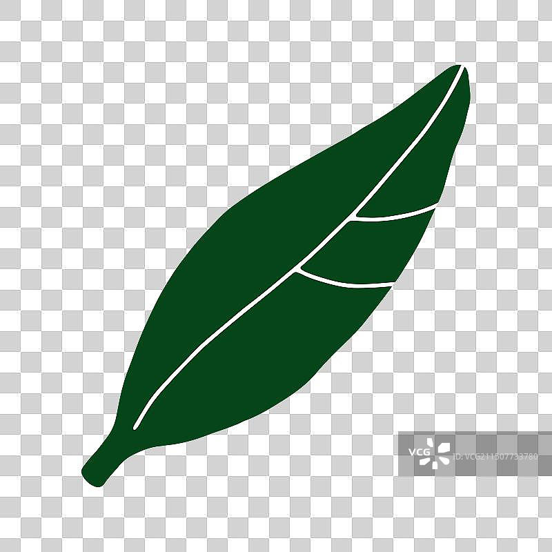 手绘绿色树叶涂鸦图片素材