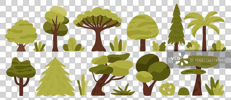 森林植物和灌木丛图片素材