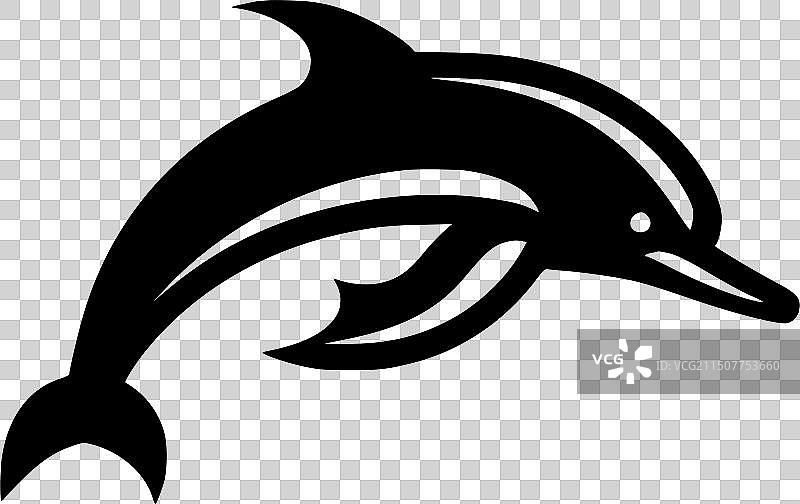 黑白海豚图片素材