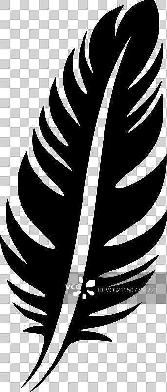 羽毛-高品质的标志-理想的t恤图片素材