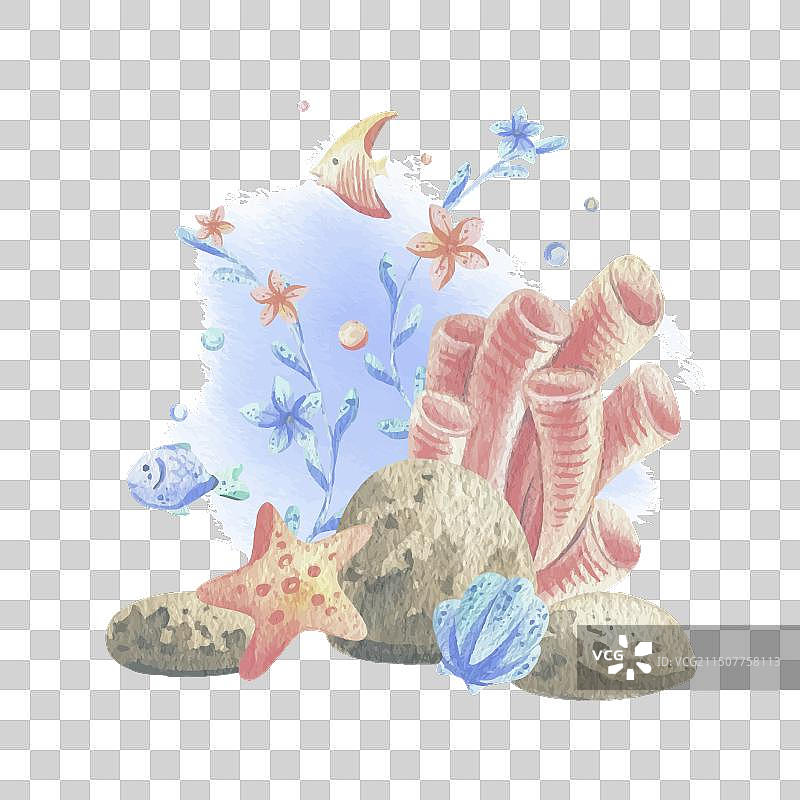 海珊瑚海藻贝壳海星鱼气泡图片素材