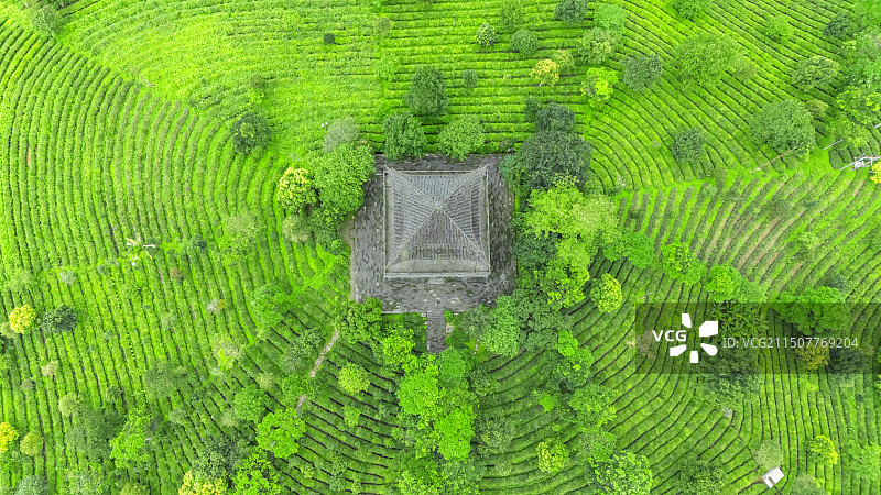 普洱茶博园图片素材