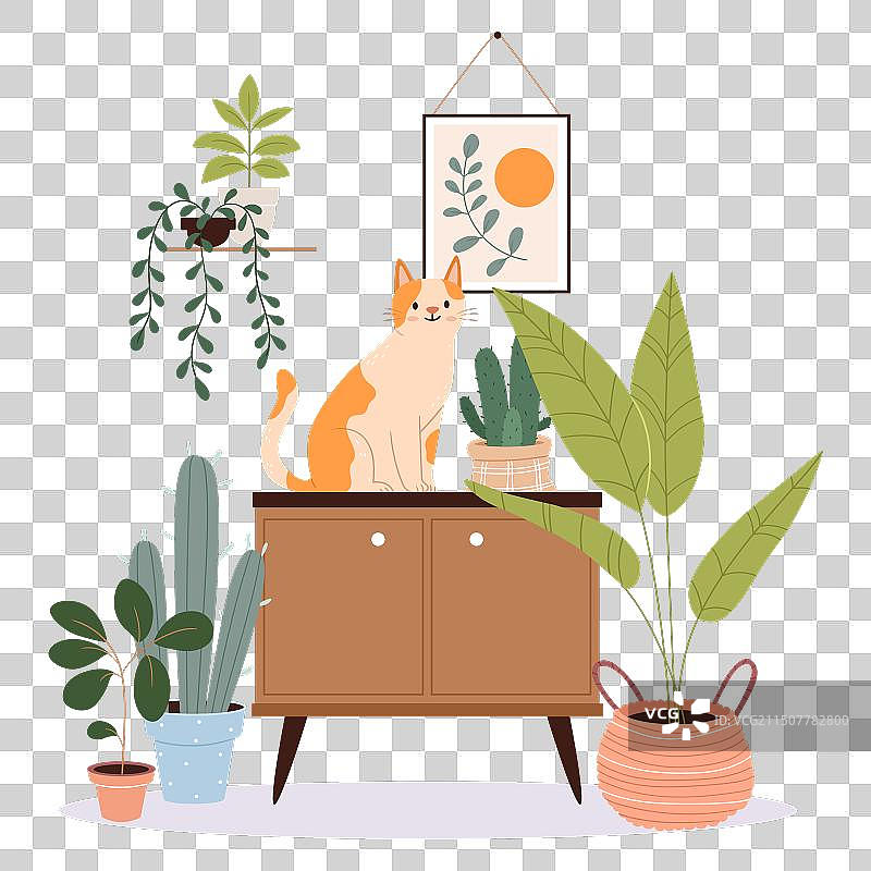 舒适的房间内部，猫坐在橱柜上图片素材