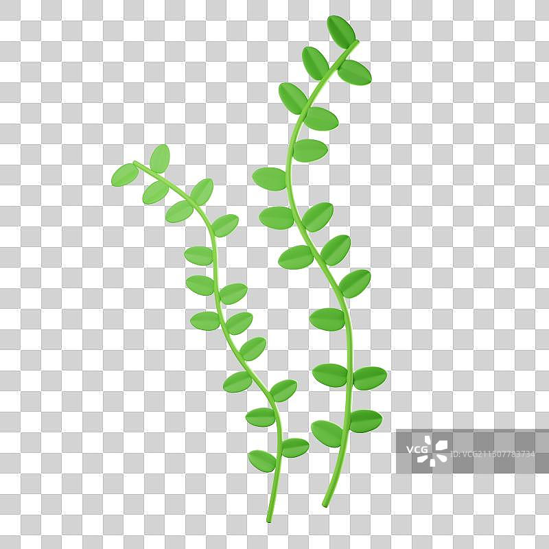 3D建模渲染绿叶植物图片素材