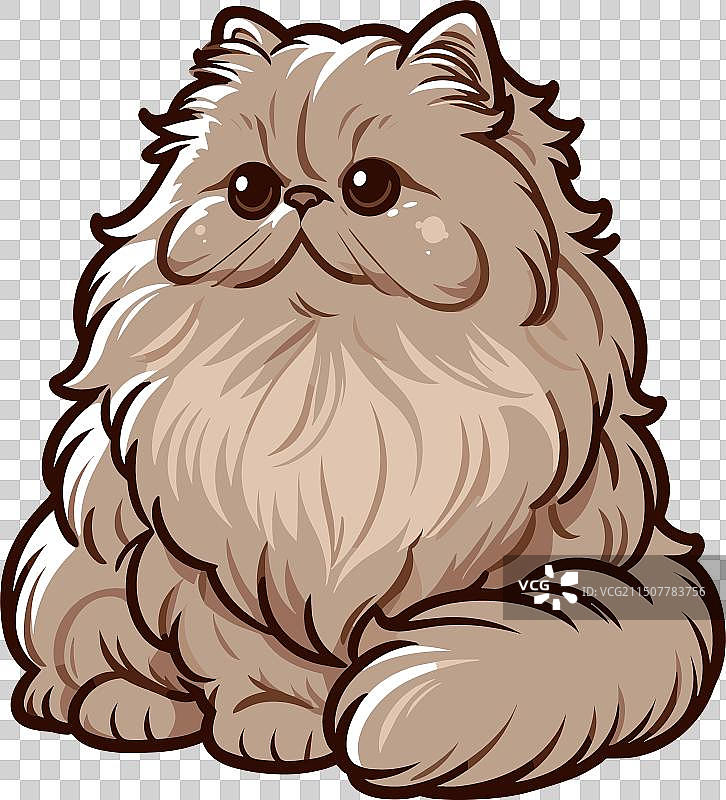 白色背景上的蓬松波斯猫图片素材