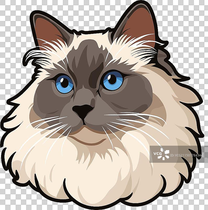 发现这些可爱的布娃娃小猫图片素材