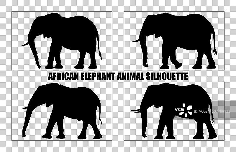 非洲象动物剪影合集图片素材