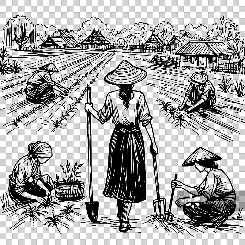 戴着草帽的女人的绘画图片素材