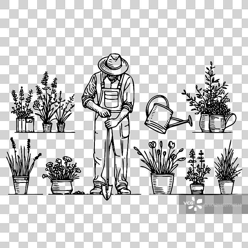 男人在花园里浇水图片素材