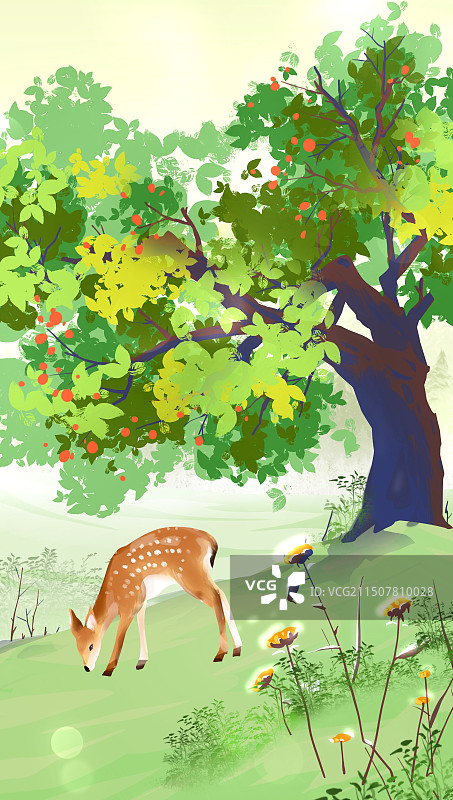 夏天，大暑，大暑，草地，户外，野生动物，清新治愈自然插画风景背景插图图片素材