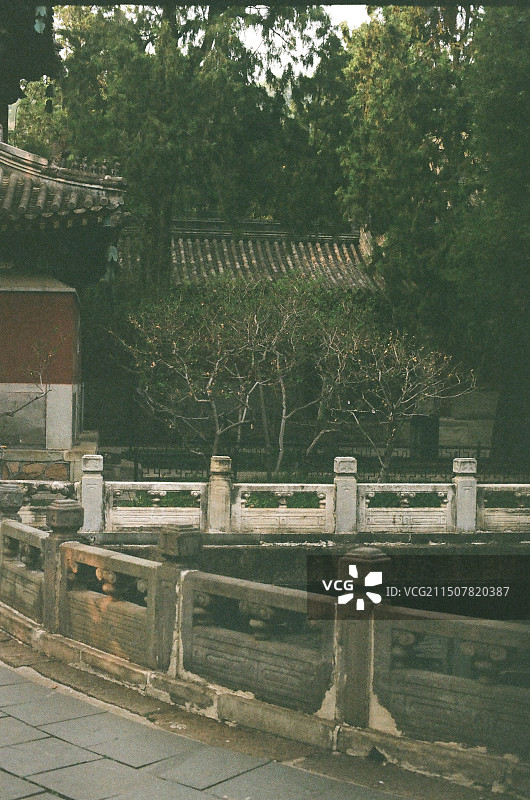 十方普觉寺，卧佛寺，北京国家植物园，胶片拍摄，g200胶卷图片素材