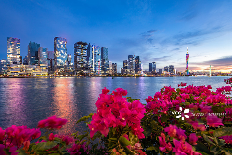 广州市海珠区琶洲CBD板块灯光夜景图片素材
