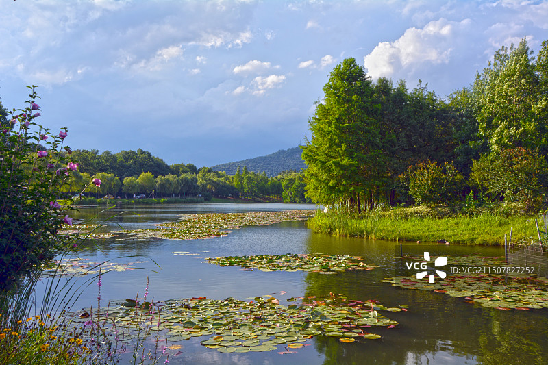 南京燕雀湖图片素材