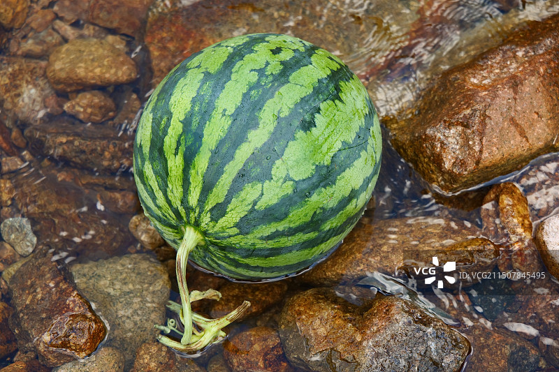 浸泡在溪水中的西瓜图片素材