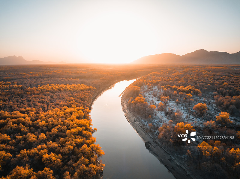 额尔齐斯河胡杨林图片素材