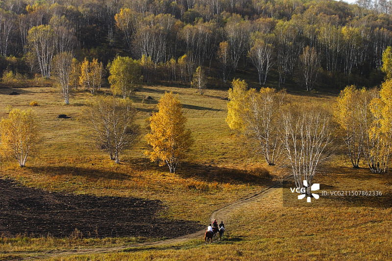 坝上草原风光图片素材