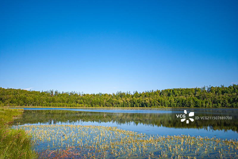 阿尔山天池蓝天映衬下的湖光山色图片素材
