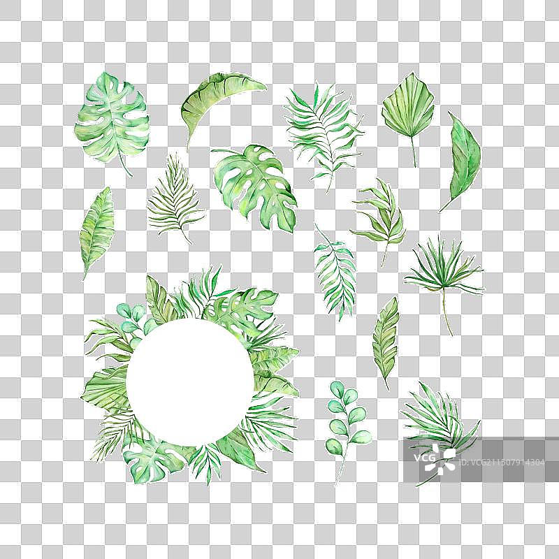 热带绿色树叶水彩边框图片素材
