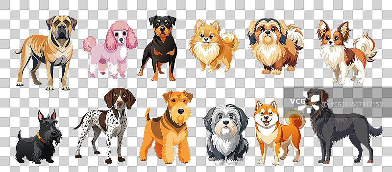 不同的狗品种，第2部分图片素材