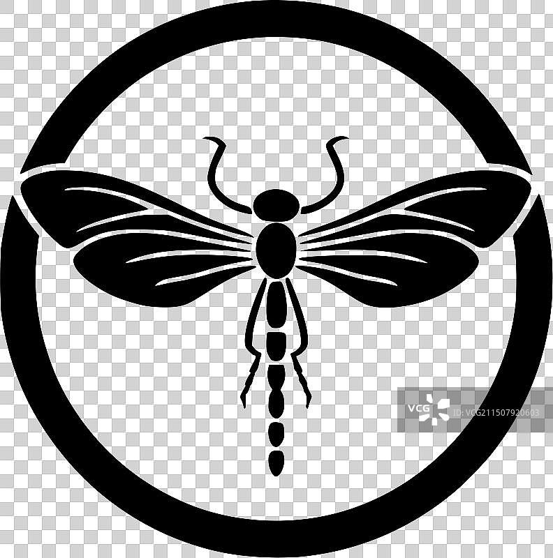 蜻蜓 - 黑白图片素材