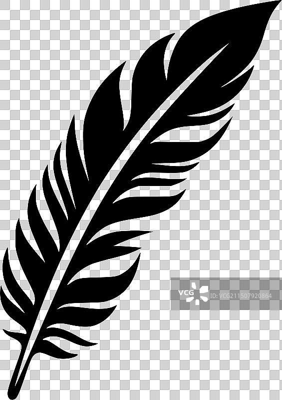 羽毛-高品质的标志-理想的t恤图片素材