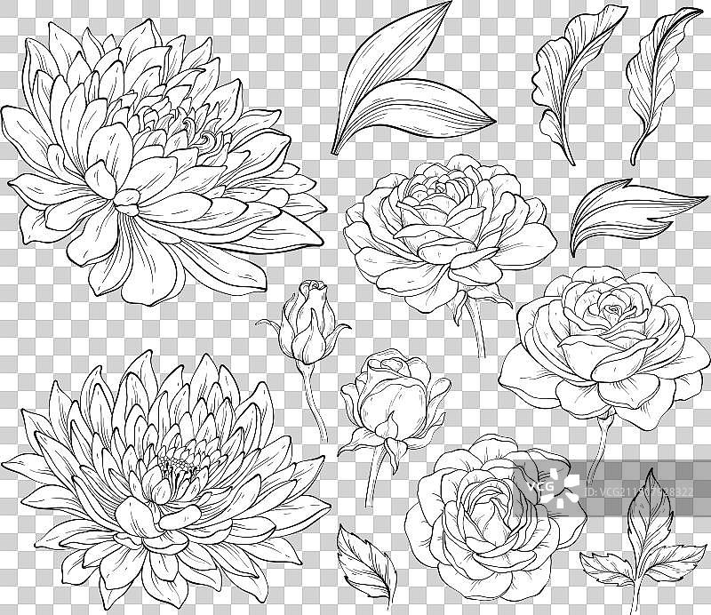 复古玫瑰菊花花朵轮廓素材图片素材
