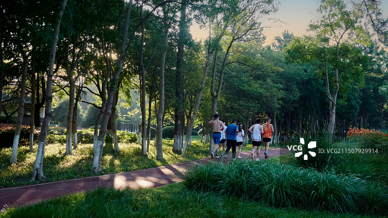 晨光中的奔跑图片素材