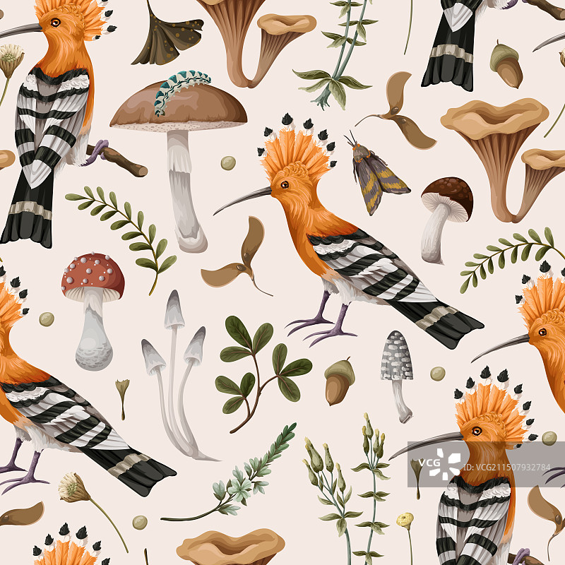 戴胜鸟与秋叶无缝图案图片素材