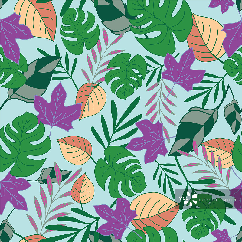 蓝色背景上的Monstera叶子和朋友图片素材