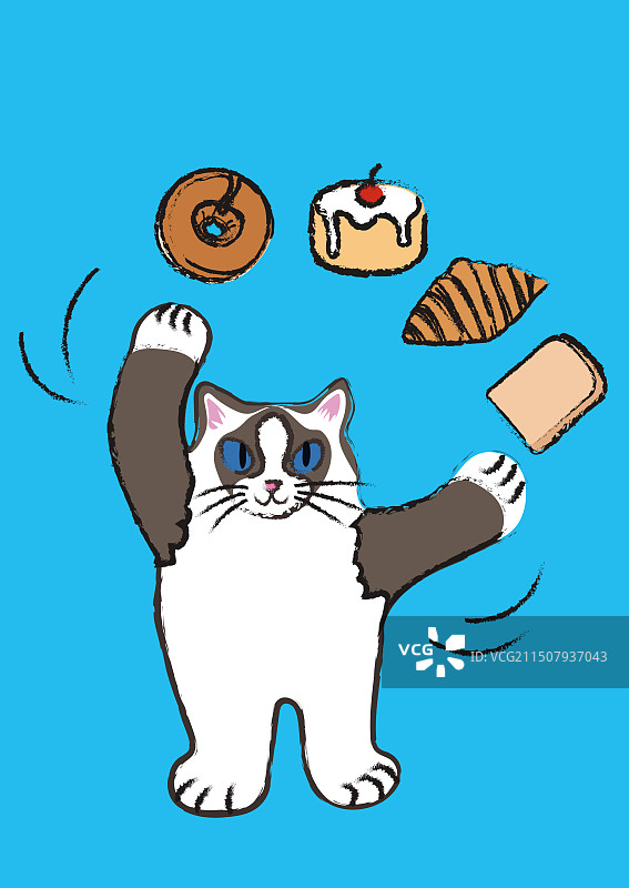 站立的布偶猫抛面包蛋糕甜品图片素材