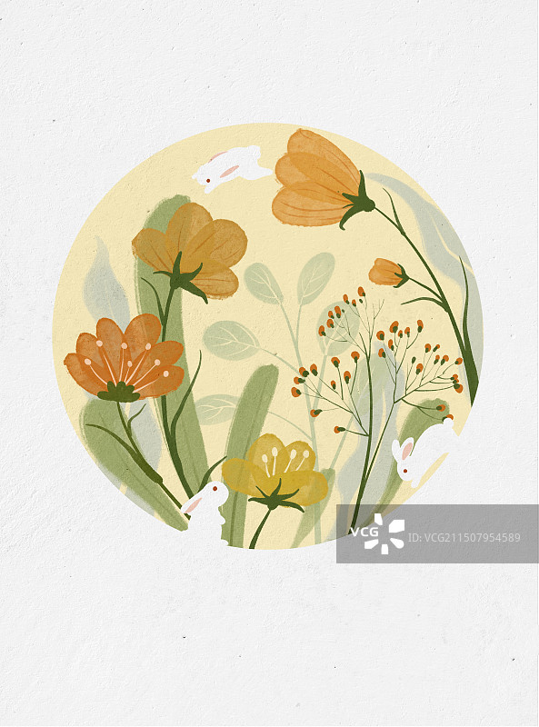 白色背景下的花朵图片素材