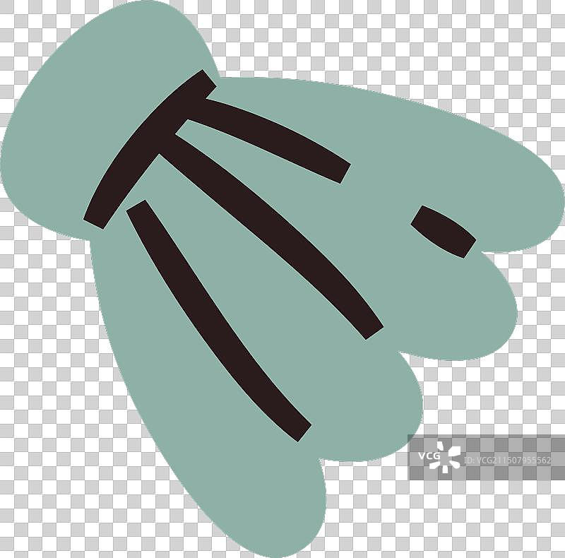 海螺软体动物图片素材